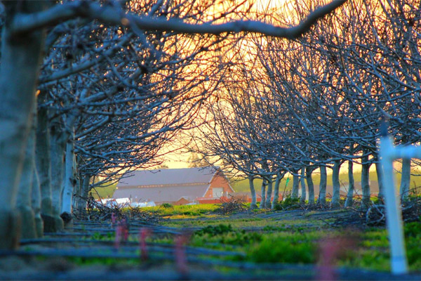 免费轰炸电话软件