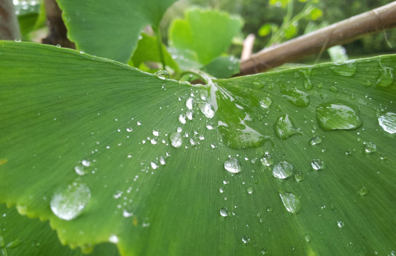 电话验证码轰炸免费